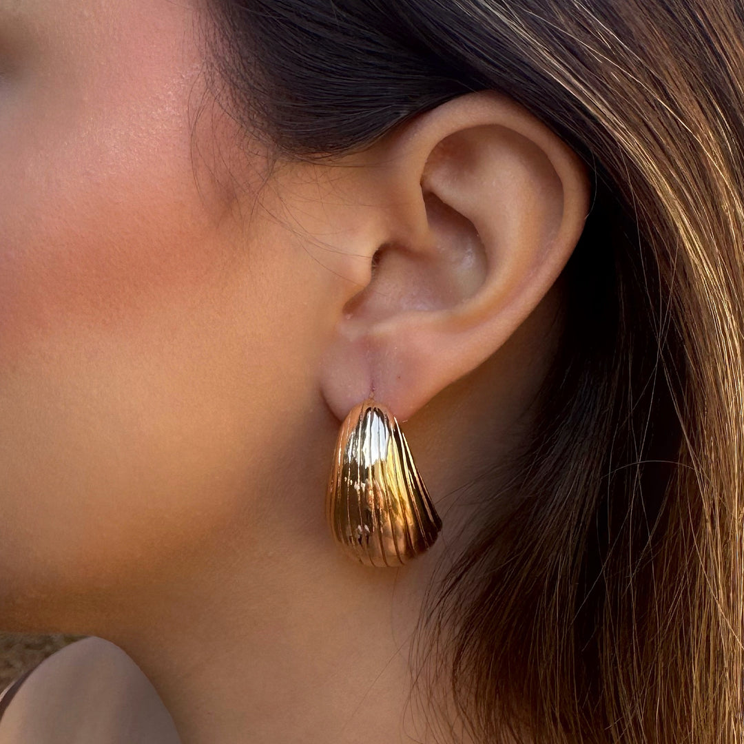 Golden Seashell Earrings