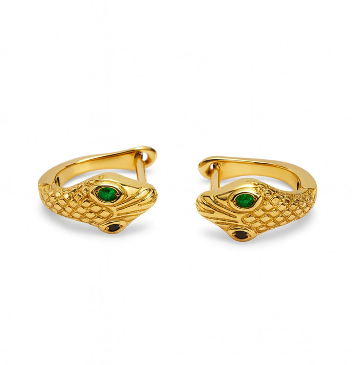 Hoops Medusa
